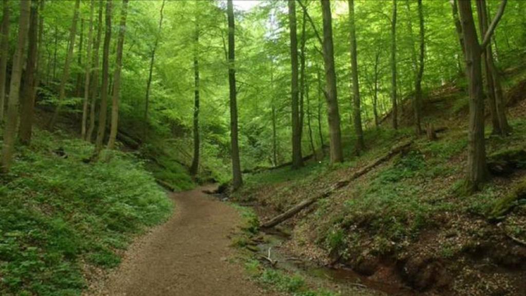 Appartamento Beletage  Eisenach Esterno foto